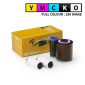 Zebra ZXP7 Colour Ribbon 250